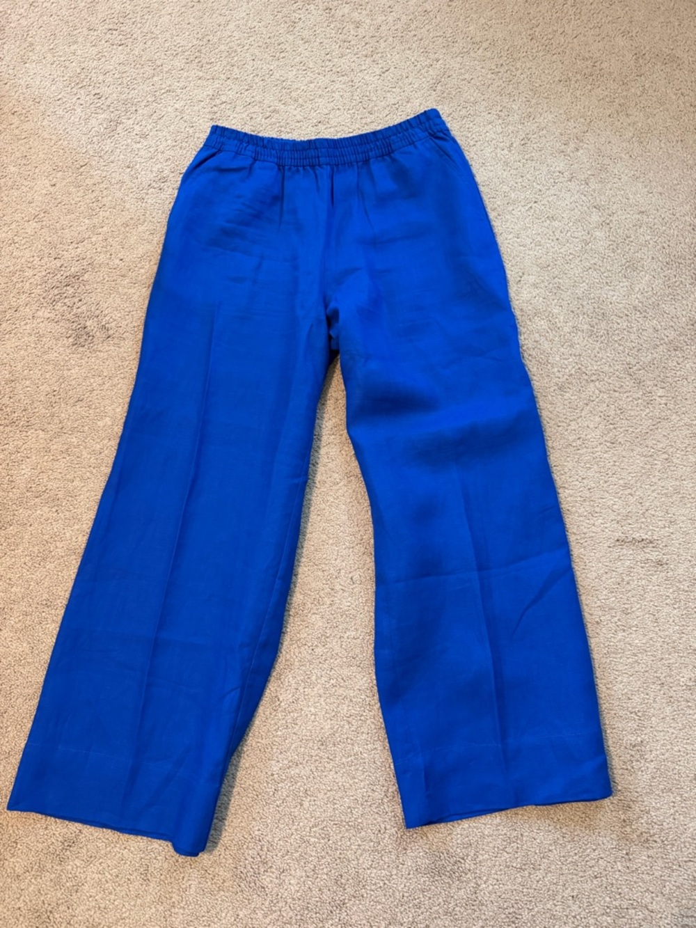 LOFT Royal Blue Wide-Leg Pants
